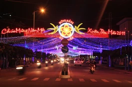 Sắc xuân đã về trên đường phố Nha Trang